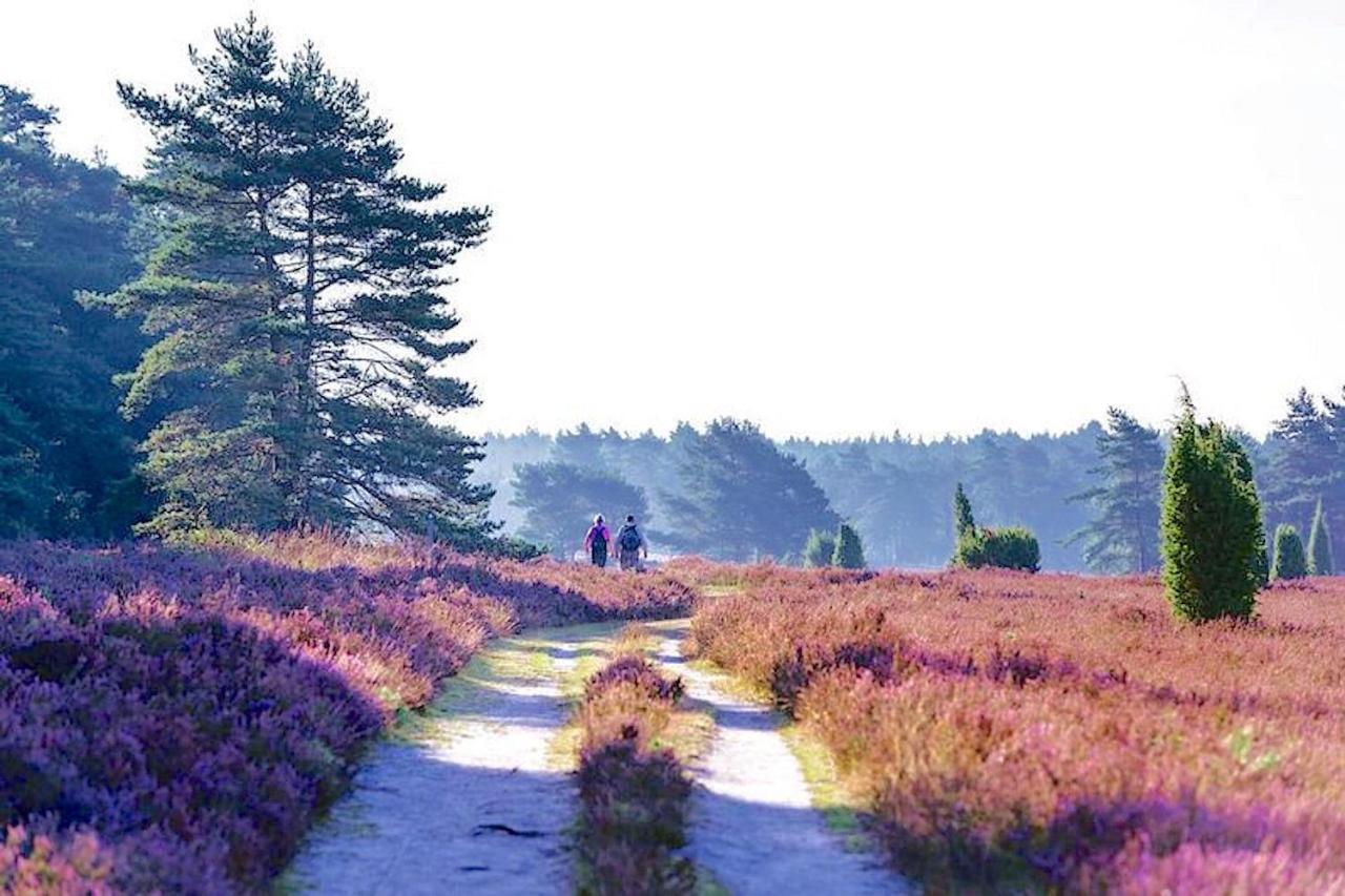 Ferienhaus Luneburger Heide Eschede Εξωτερικό φωτογραφία